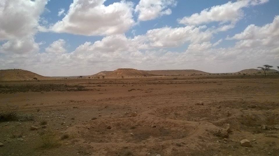 Masle landscape