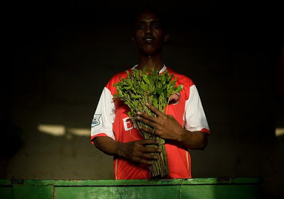 qat44.jpg