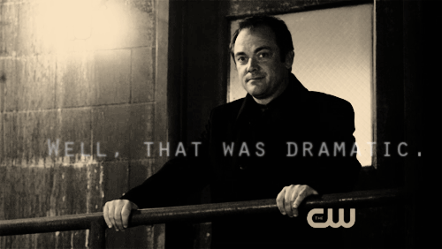 tumblr_luozlcDVe41r6aoq4o1_500.gif