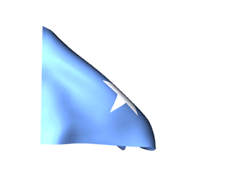 Somali-Flag.gif