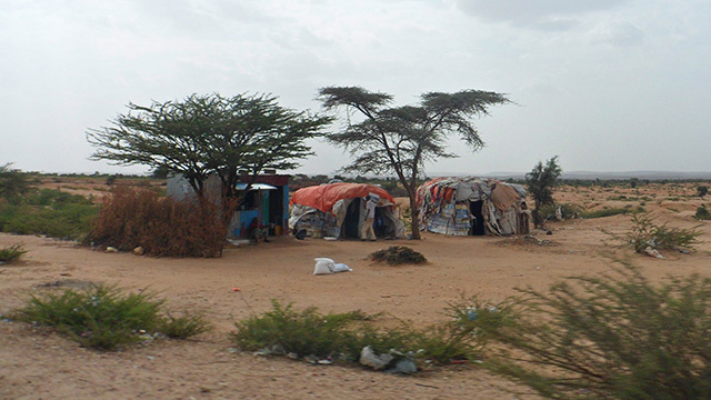 Modern-Somalilander-Degmo.jpg