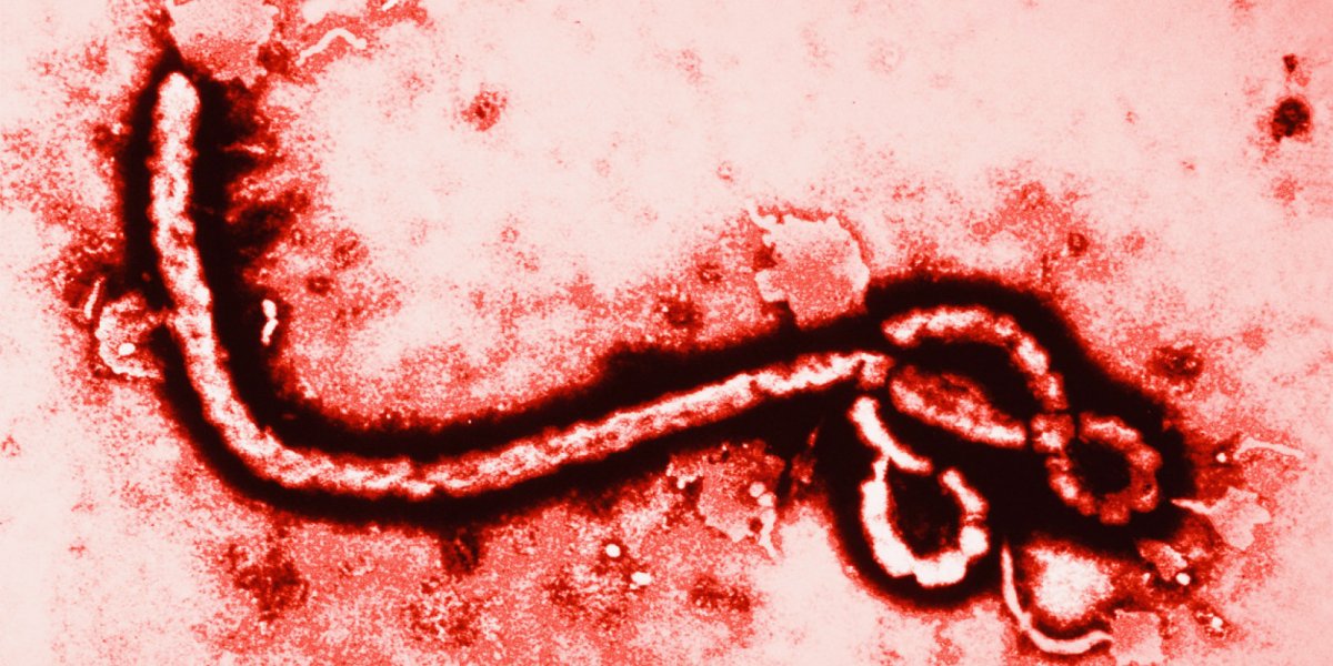 o-ebola-virus-facebook.jpg