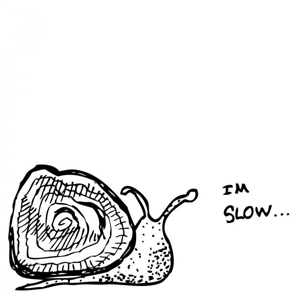 snail--im-slow-karl-addison.jpg