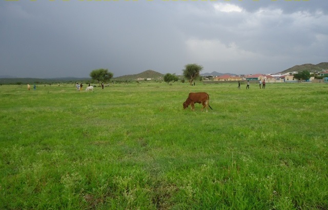 seeraha-5.jpg