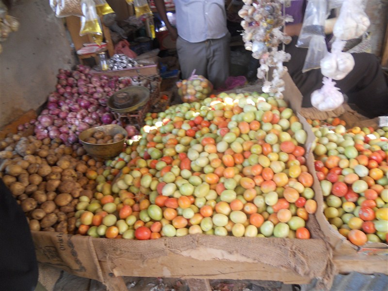 Maalinta-beeraha-Puntland-Bari-Boosaaso-