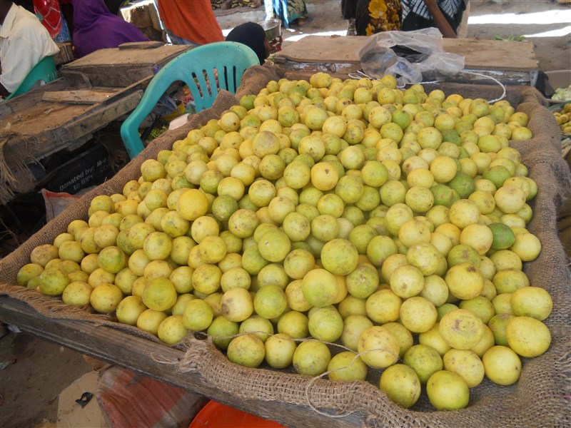 Maalinta-beeraha-Puntland-Bari-Boosaaso-