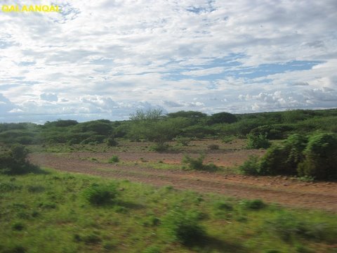 Safarka-Islaan-Basiir-iyo-Tigey-60.jpg