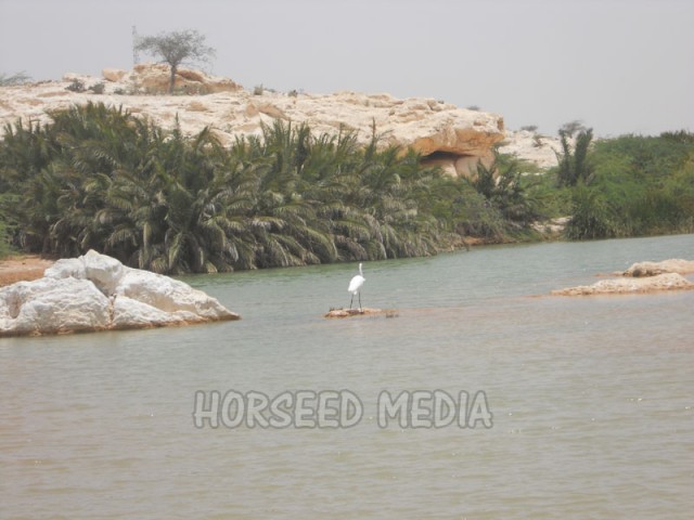 DSCN3740-640x480.jpg