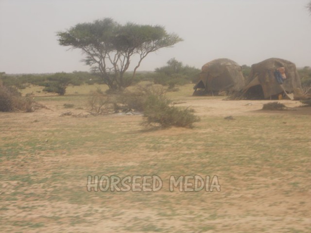 DSCN3759-640x480.jpg