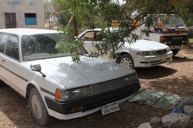 IMG_1206-640x426.jpg