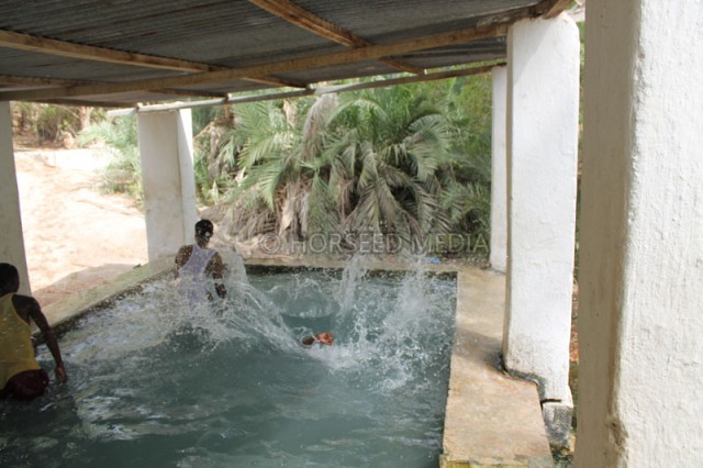IMG_1263-640x426.jpg