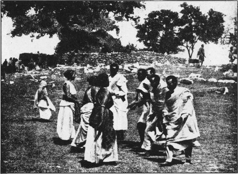 galla_courtship_dance_small.jpg