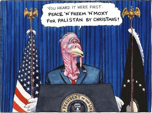 SteveBell_turkey.jpg