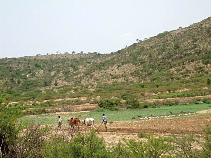 beeralayda-awdal.jpg