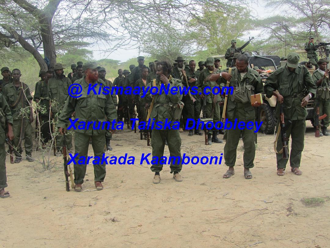 kaambooni.JPG