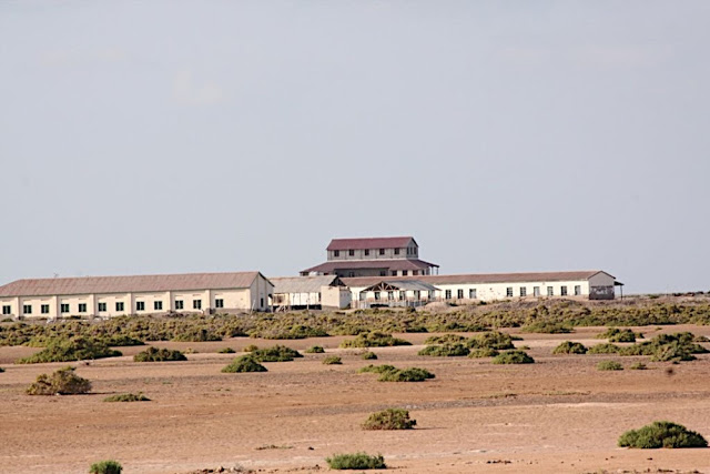 Zeyla_124-small.jpg