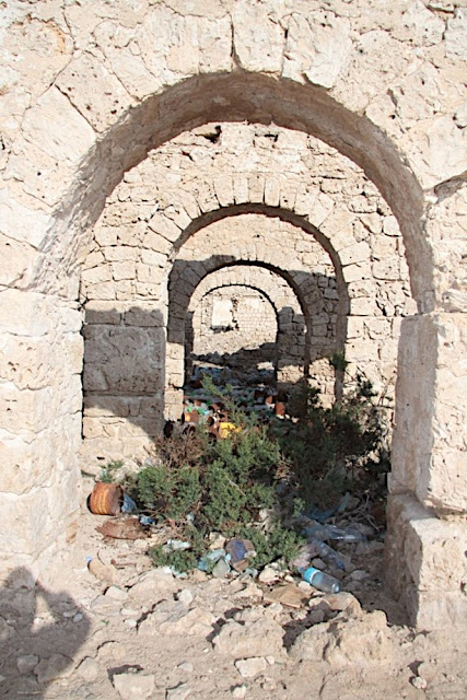 Zeyla_78-small.jpg