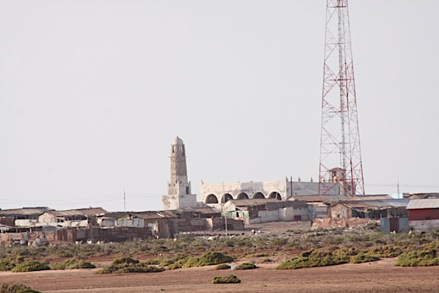 Zeyla_131-small.jpg
