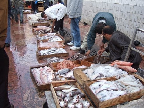 agadir-fishing-port.jpg