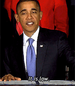 tumblr_m3d8hrcYIm1r52ff2.gif