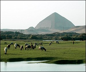 _39910258_egyptbendpyr250.jpg