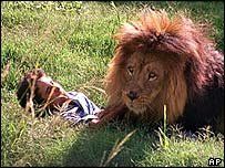 _39732217_lion203ap.jpg