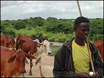 _40563545_abdullahi203.jpg