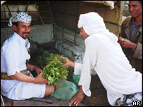 _41065873_yemen_qat.jpg