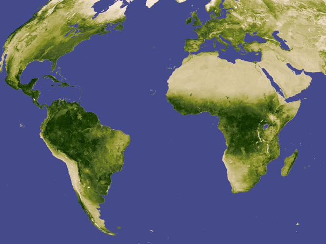 Vegetation.jpg