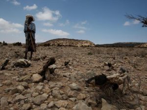 somaliland-5-300x225.jpg