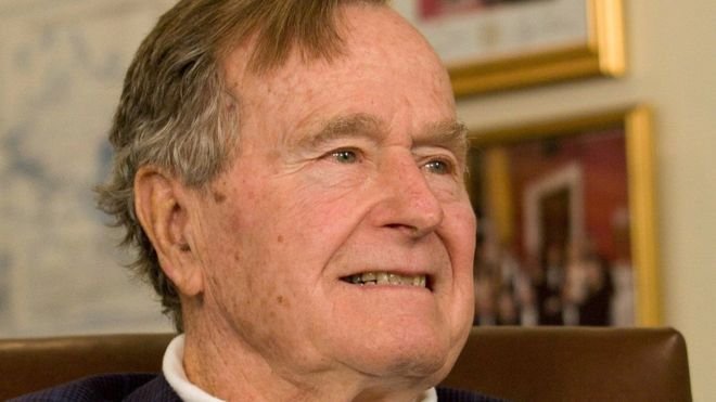Bush-0.jpg