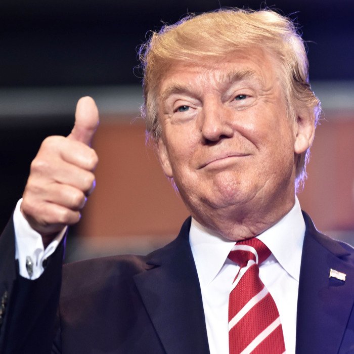 27-donald-trump-thumbs-up.w700.h700.jpg