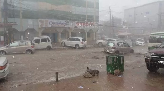 325526DD-F634-48CF-AE42-81398C455556.jpe