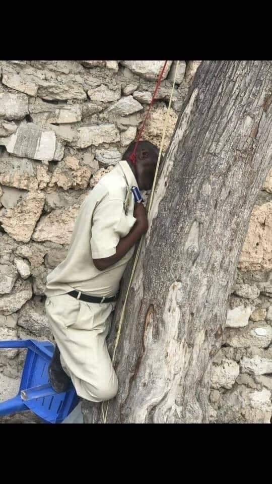 056A30D8-9981-40F7-9A56-CC4C61339926.jpe