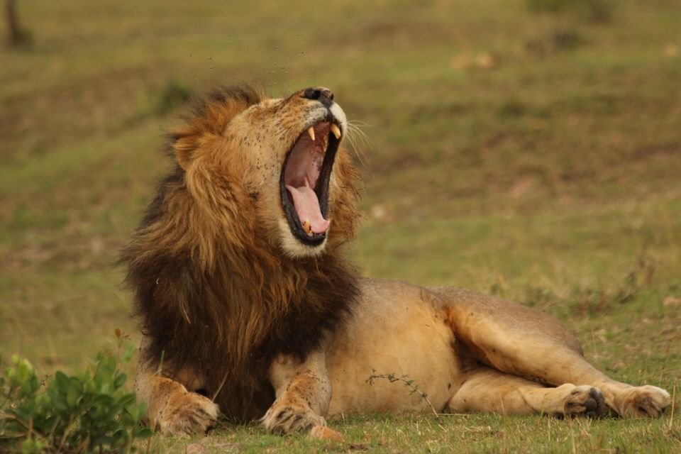 454C5660-5D55-481F-92EF-6228C246839C.jpe