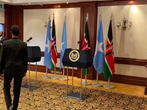 6da369d5-6be9-468e-ab8b-8dc908412359-300