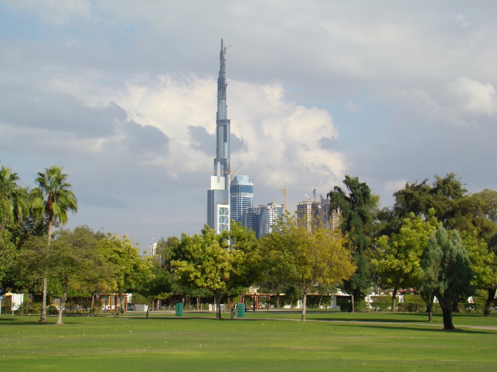 16976397.jpg