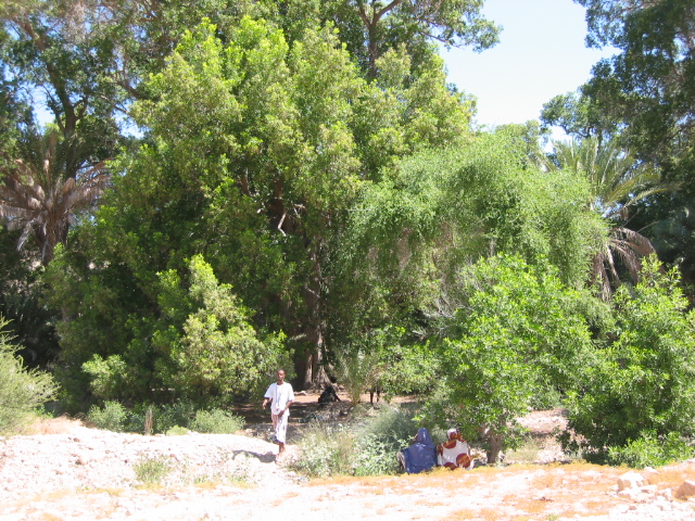 Picture%20488.jpg