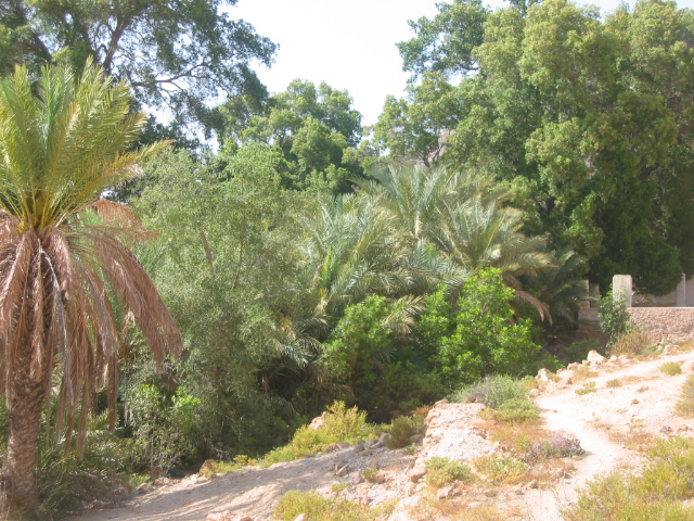 Picture%20766.jpg