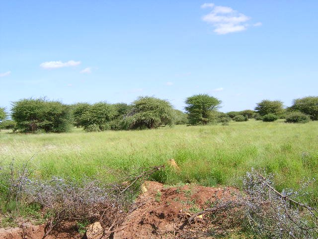 Sawiro%201297.jpg