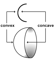 concave_convex.gif