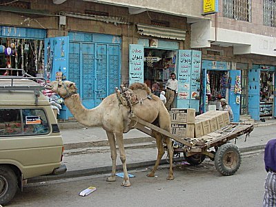 camelparking.jpg