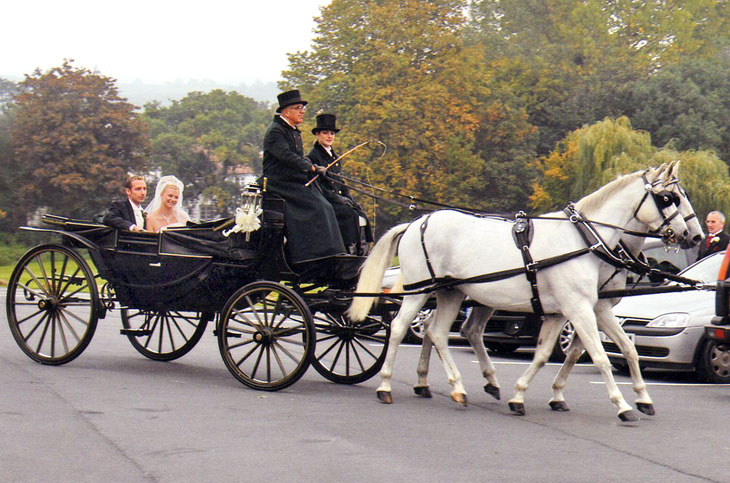 horsedrawn-carriage-landau001.jpg