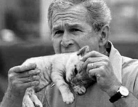 george-bush-funny.jpg