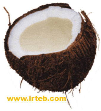 cocunut.gif