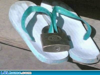 funny-picture-3536137864.jpg