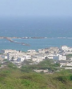 Kismayo-Shelled-243x300.jpg