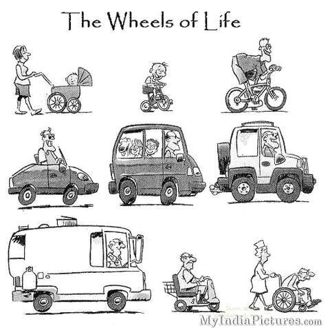 The-Wheel-of-Life-Cycle-Funny-Cartoon.jp
