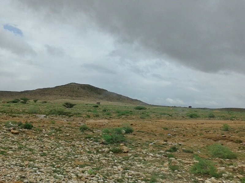 20141017_053610.jpg