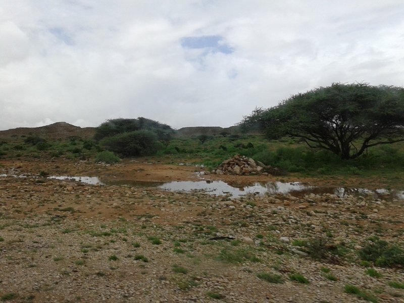 20141017_054357.jpg